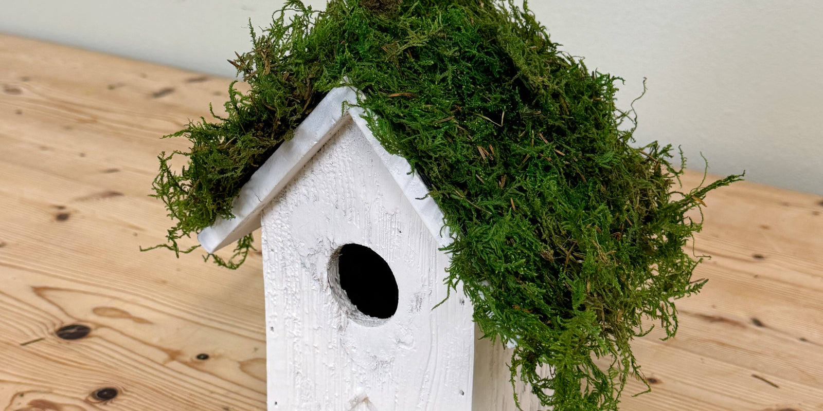 Moss Birdhouse