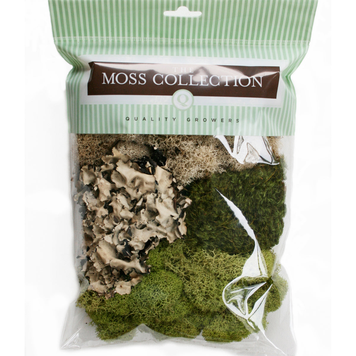 Variety Pack Moss
