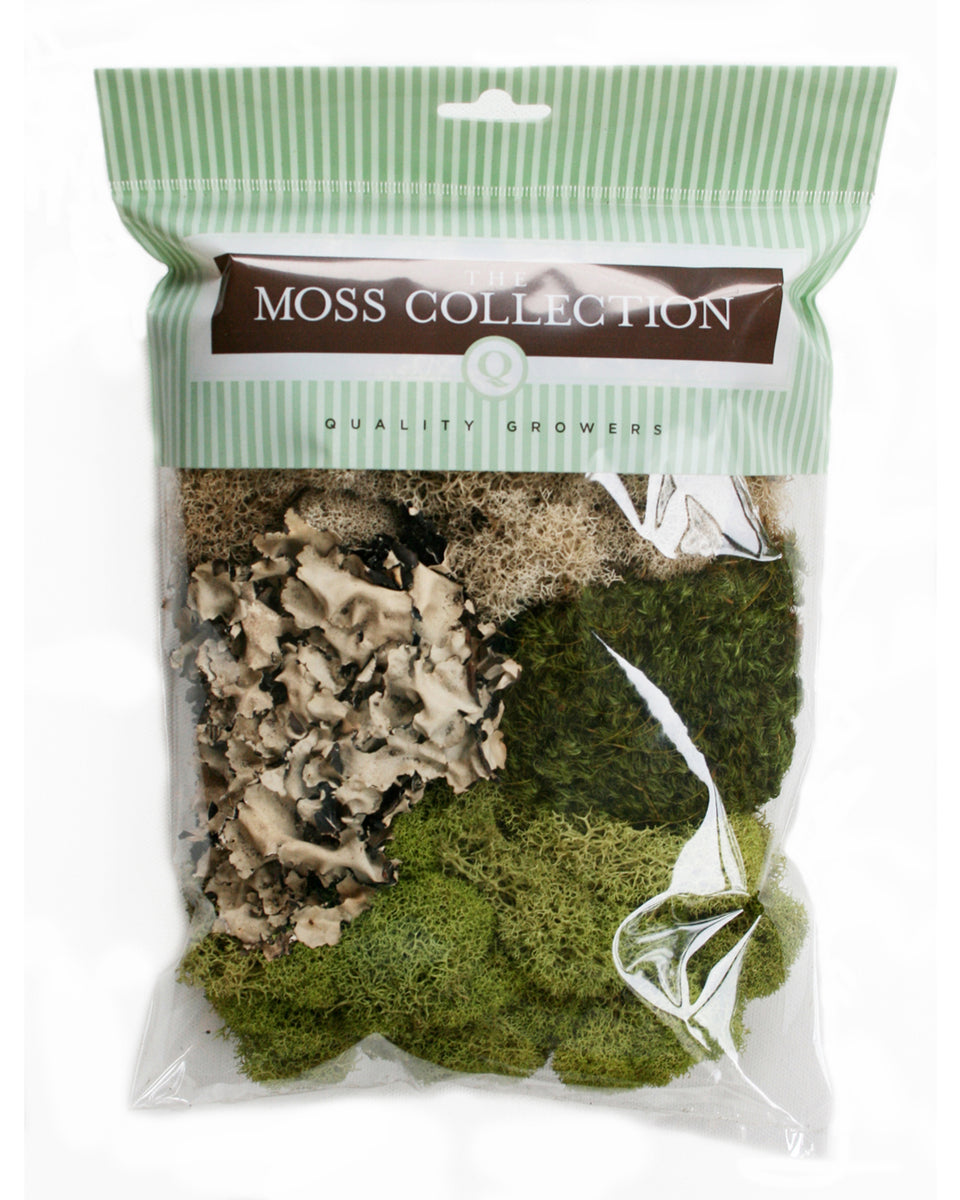 Variety Pack Moss