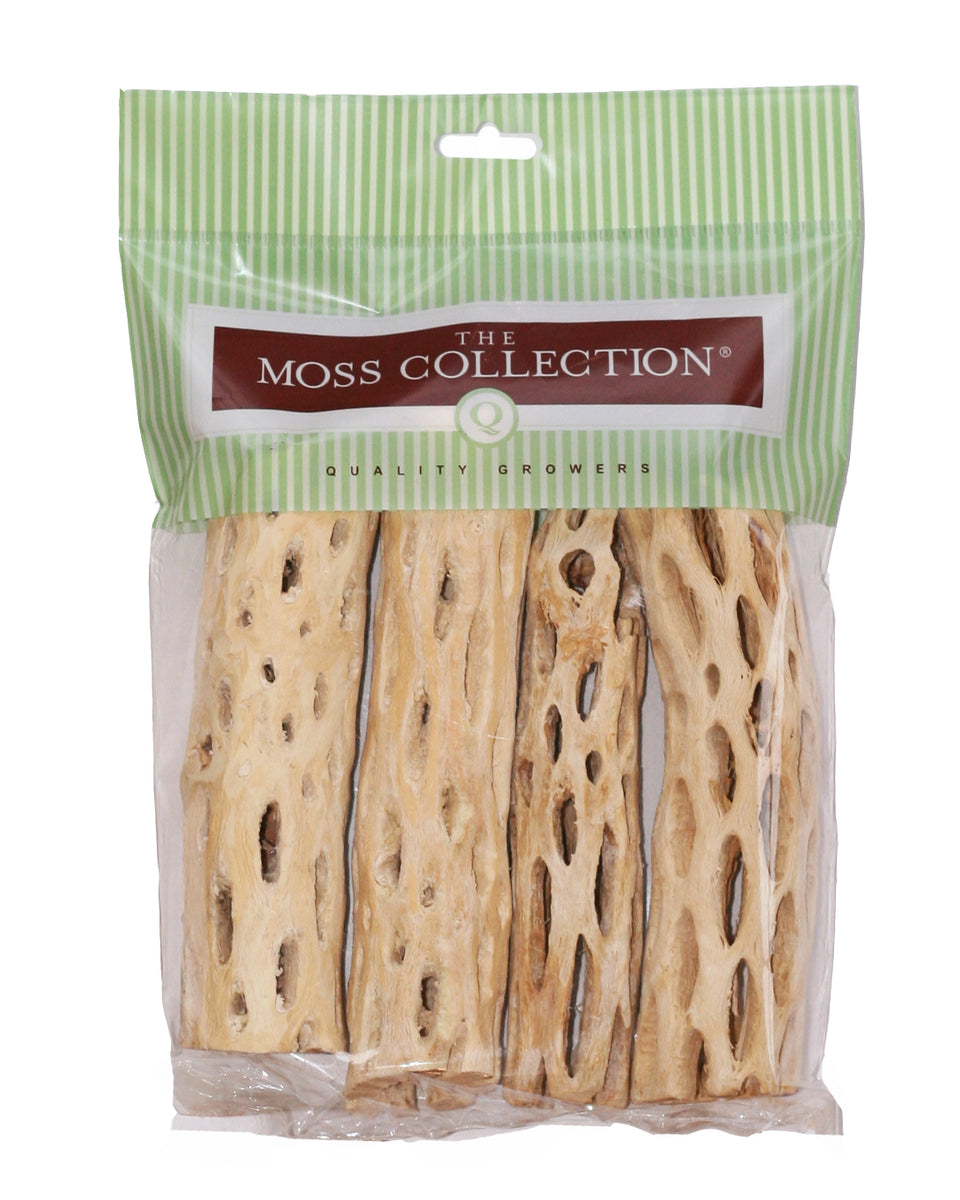 Cholla Wood