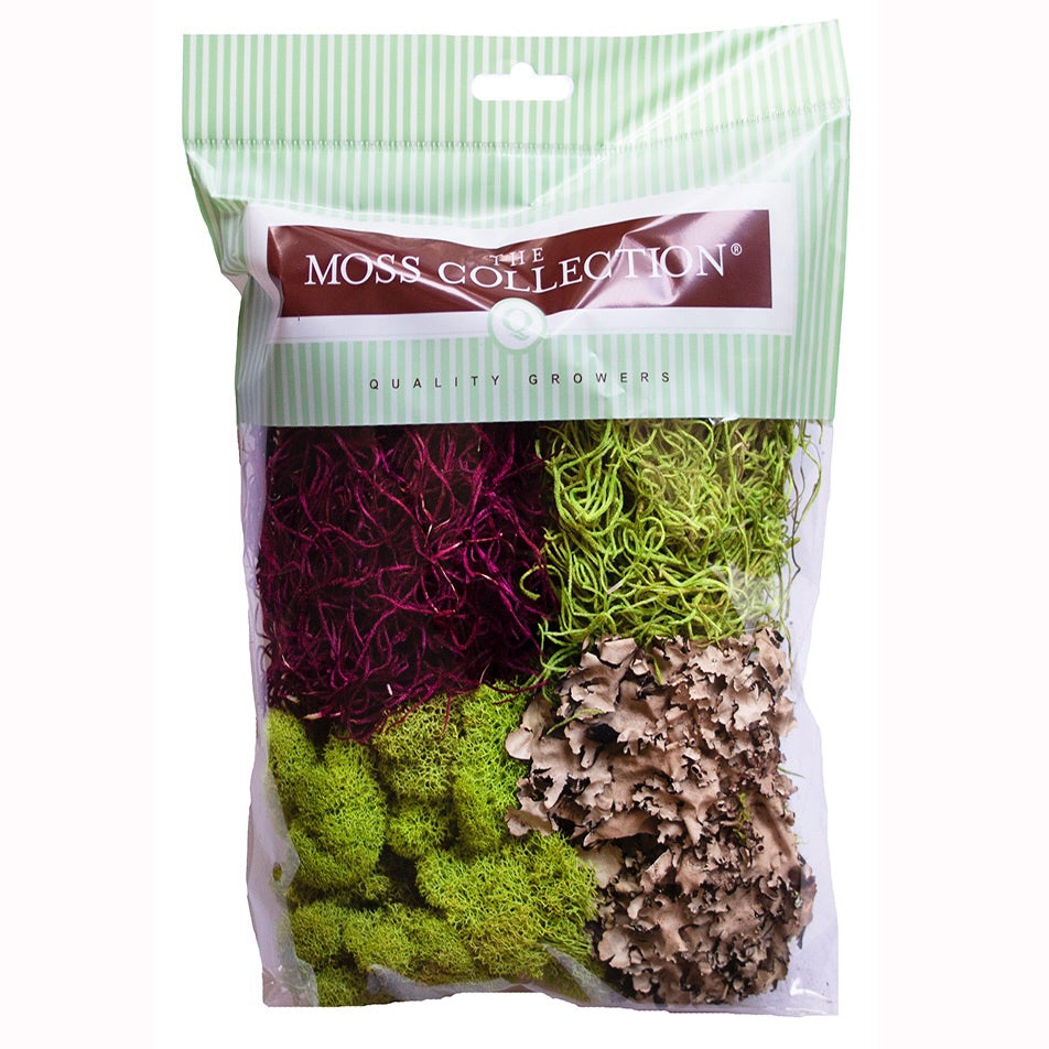 Variety Pack Moss