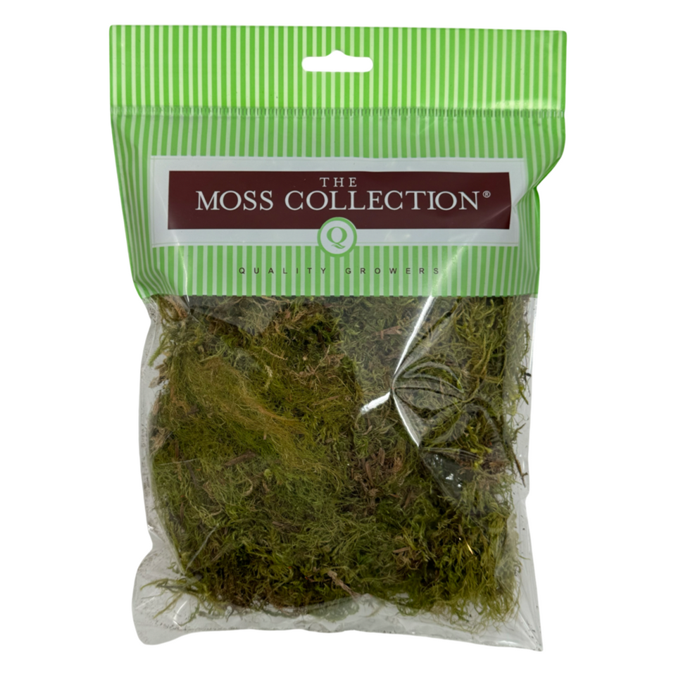 Green Tree Sphagnum