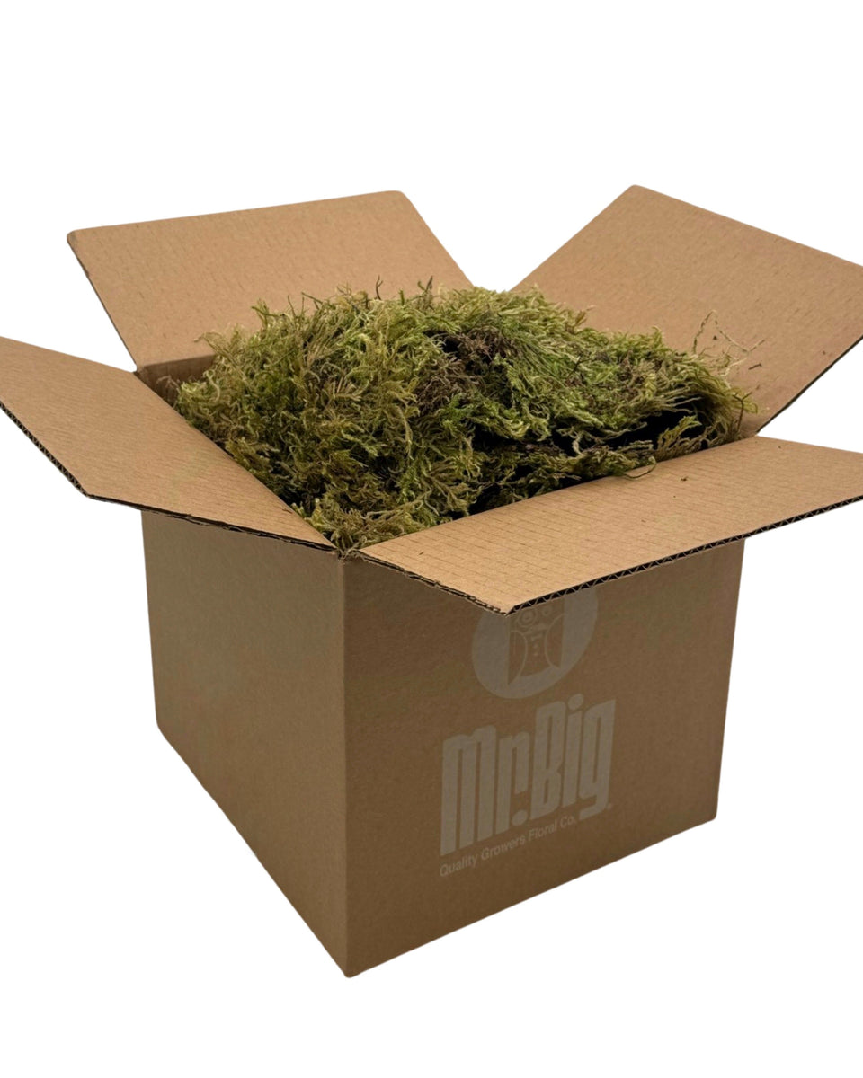 Green Tree Sphagnum