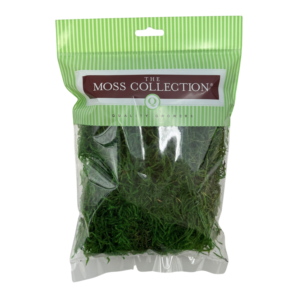 Green Tree Sphagnum