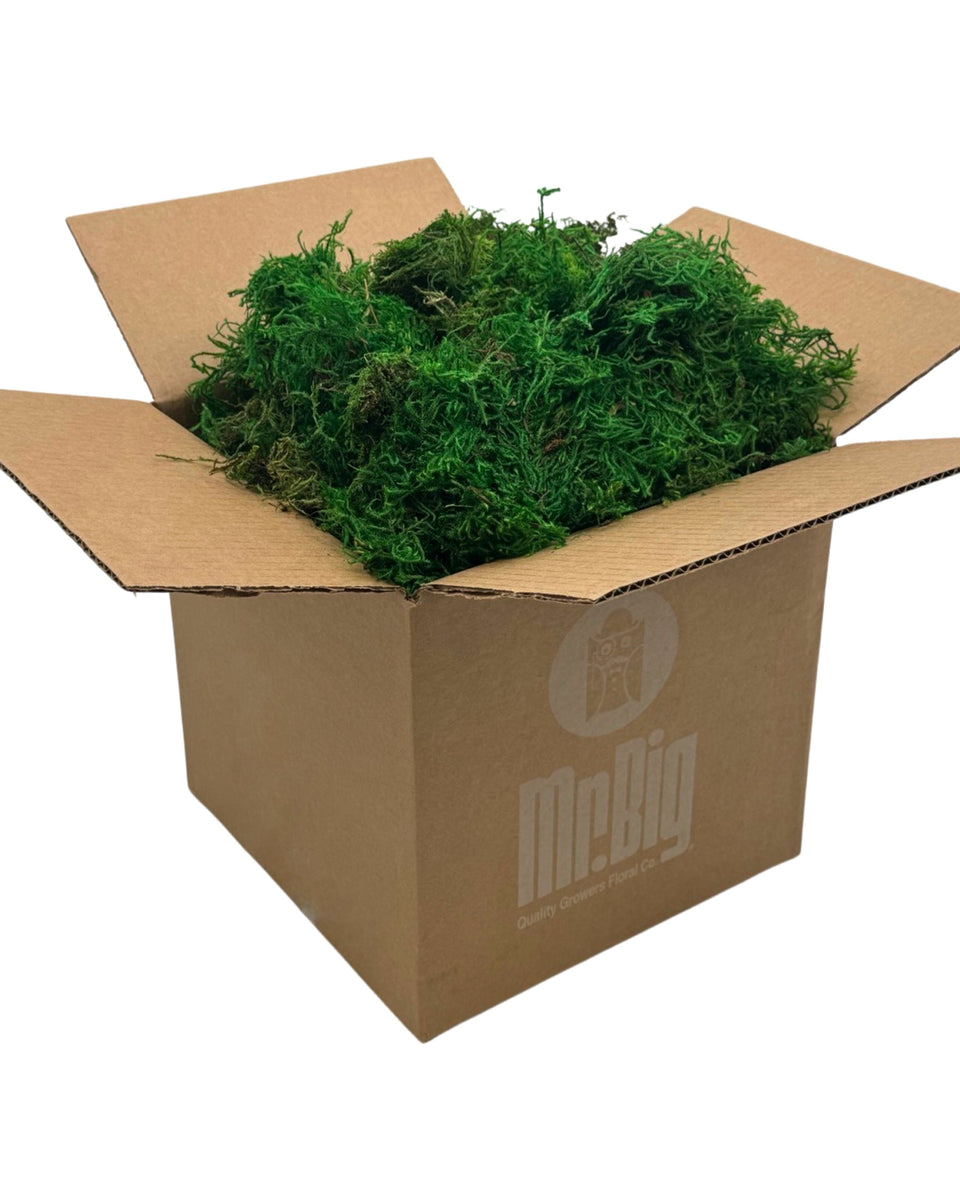 Green Tree Sphagnum