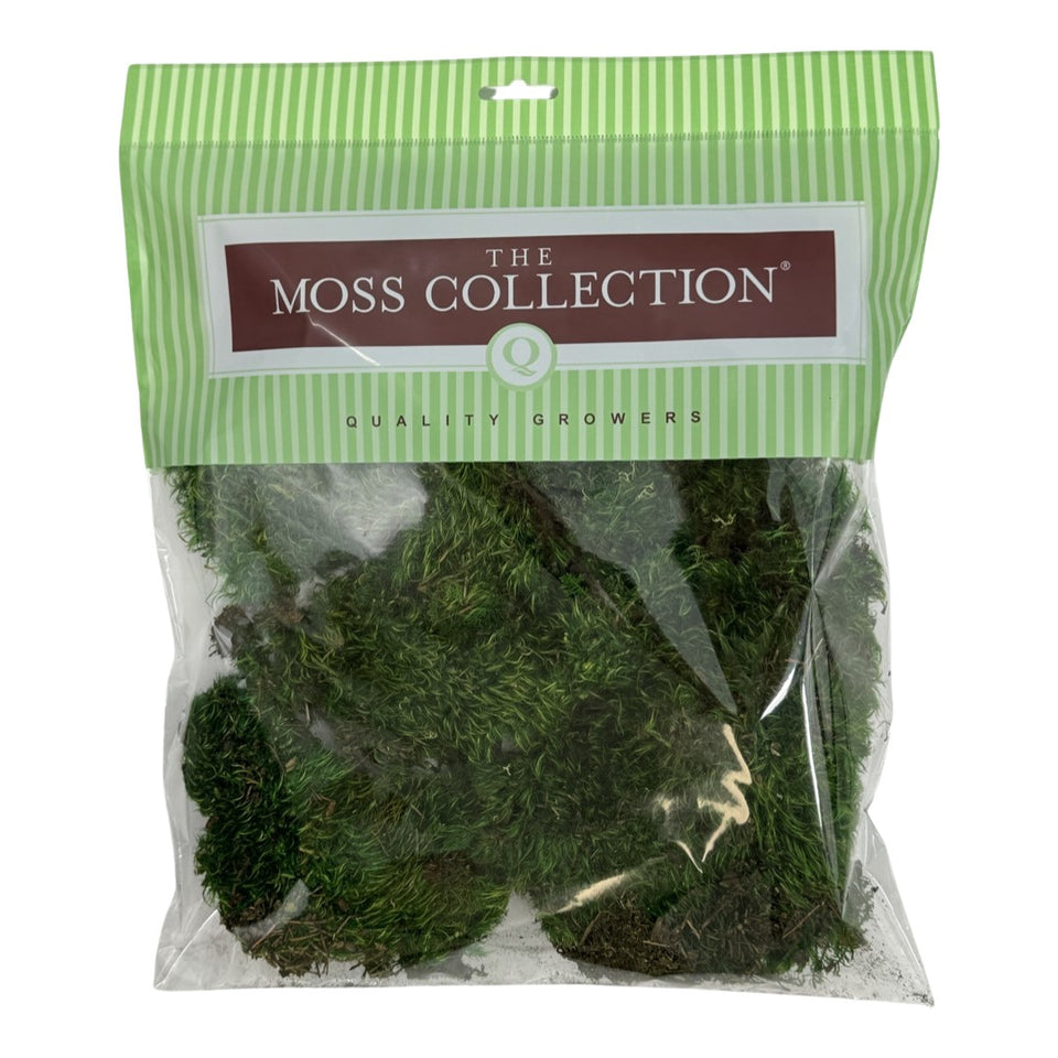 Mood Moss