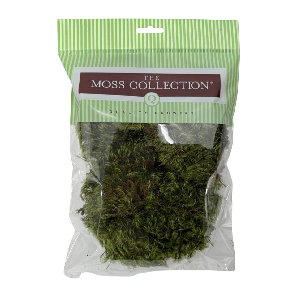 Mood Moss