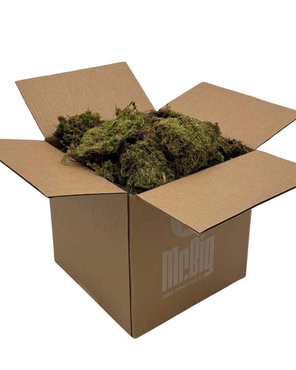 Mood Moss