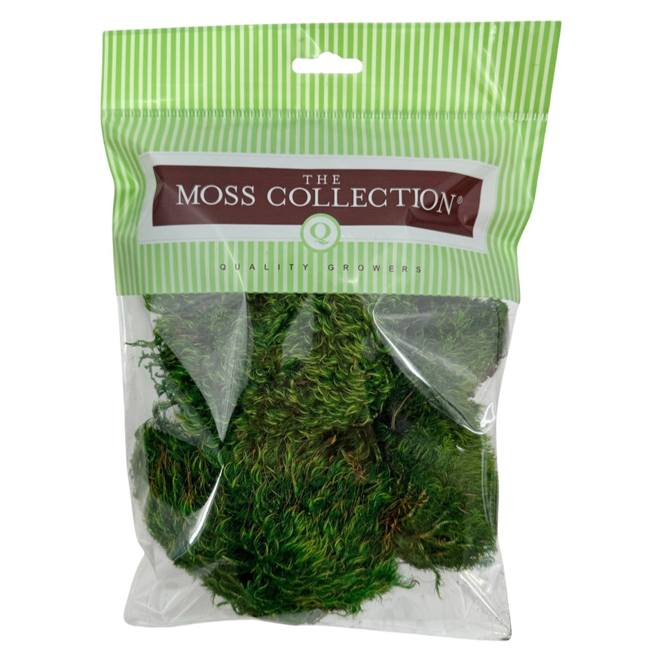 Mood Moss