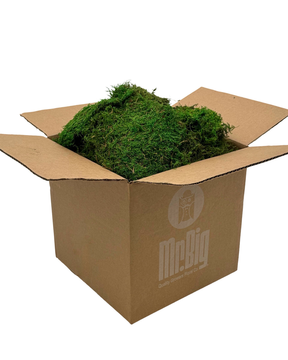 Sheet Moss