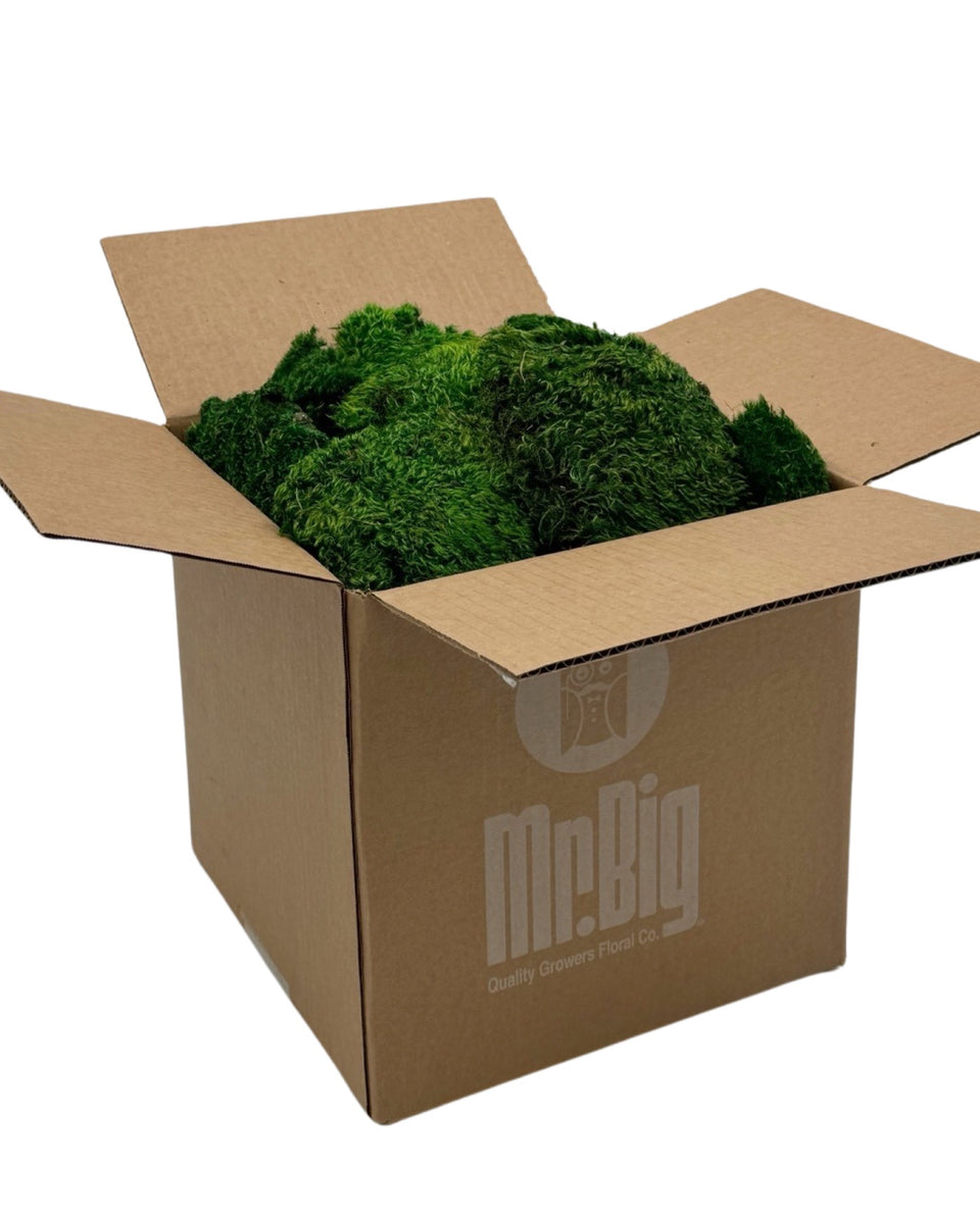 Mood Moss