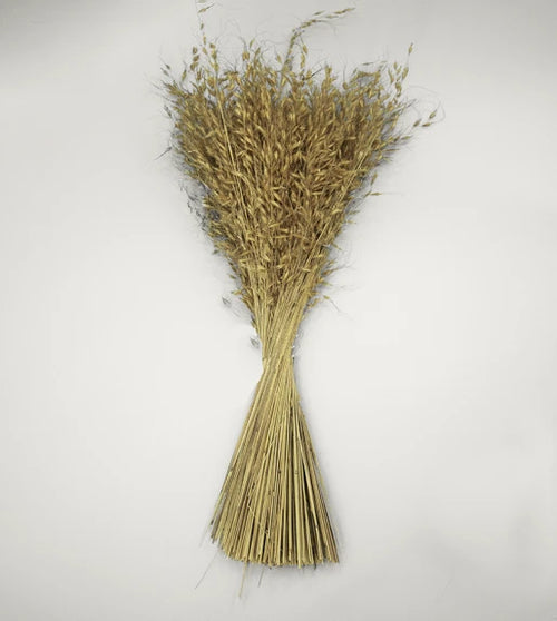 Arrow Grass Preserved Bouquet