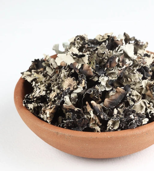 Black Lichen