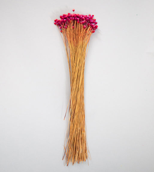 Happy Flower Preserved Bouquet