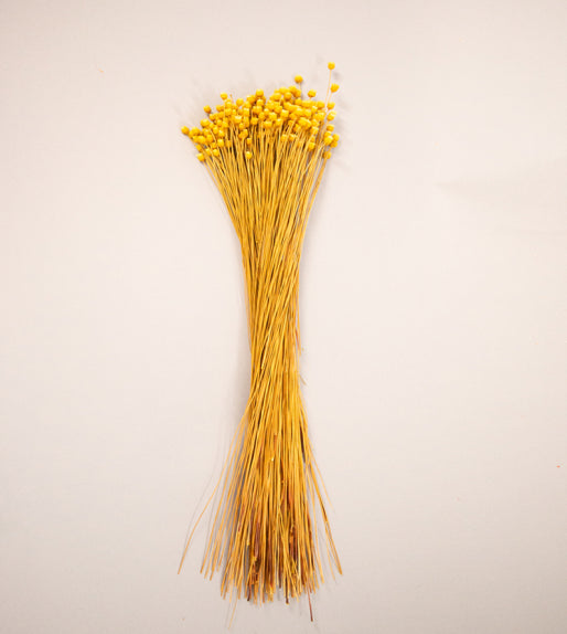 Happy Flower Preserved Bouquet
