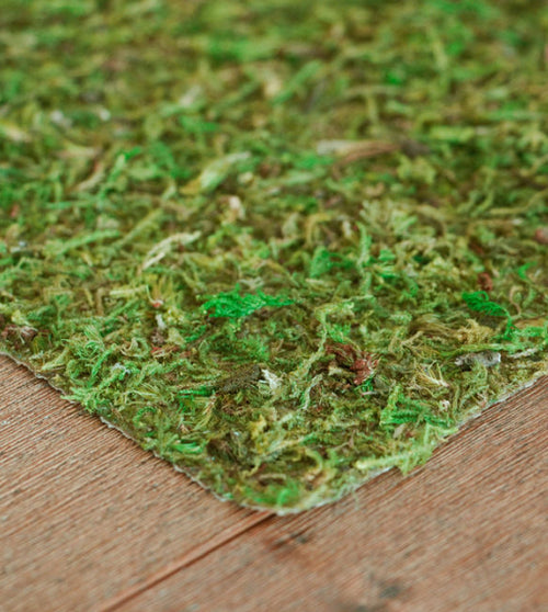 Mossy Mat Peel & Stick Moss