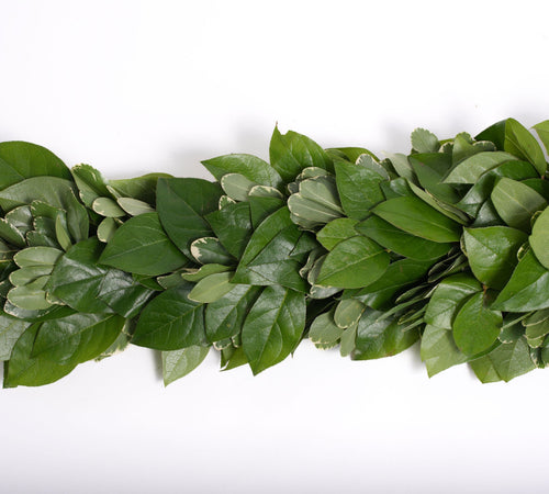 Salal and Variegated Pittosporum Garland