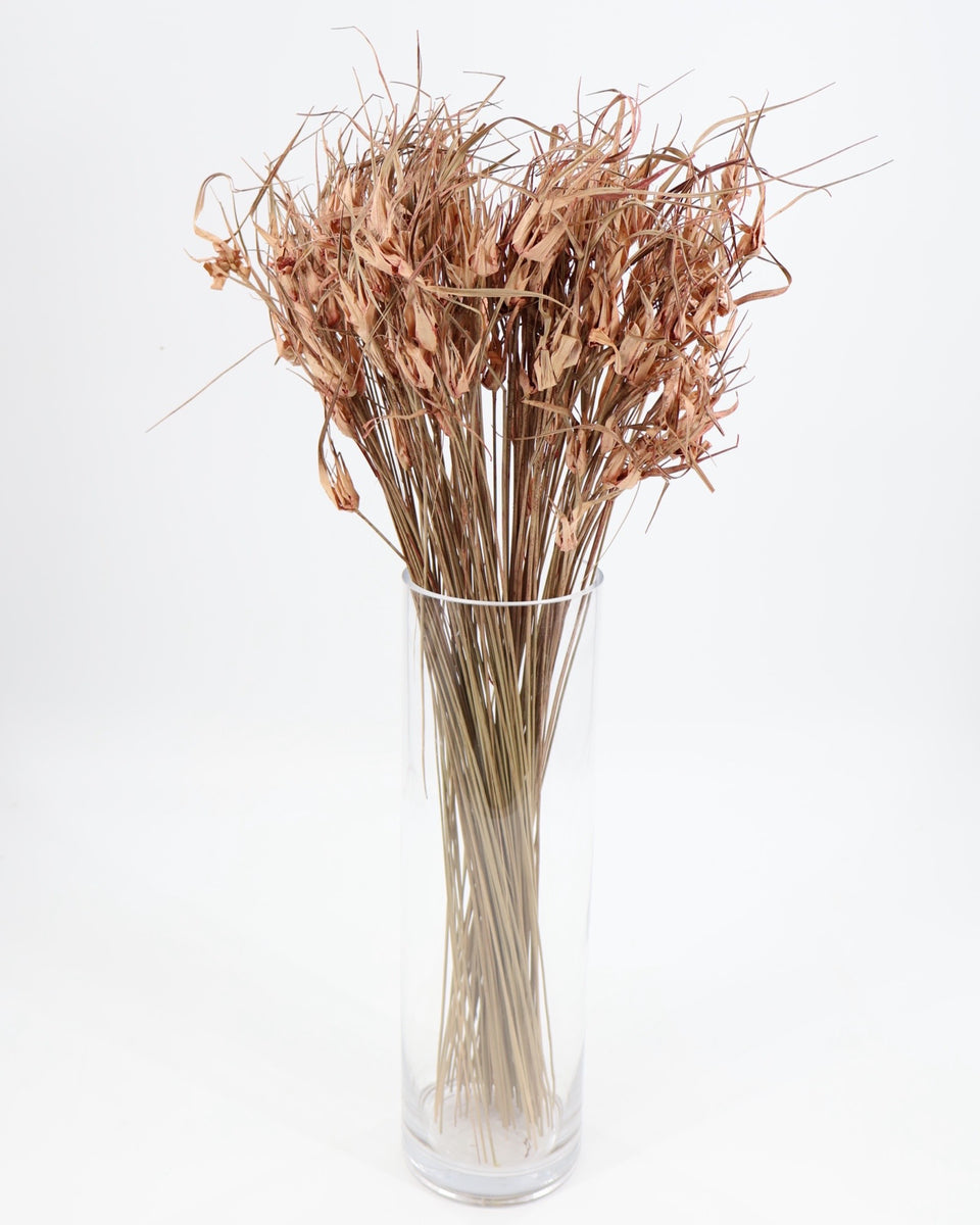 Tulip Star Grass Preserved Bouquet