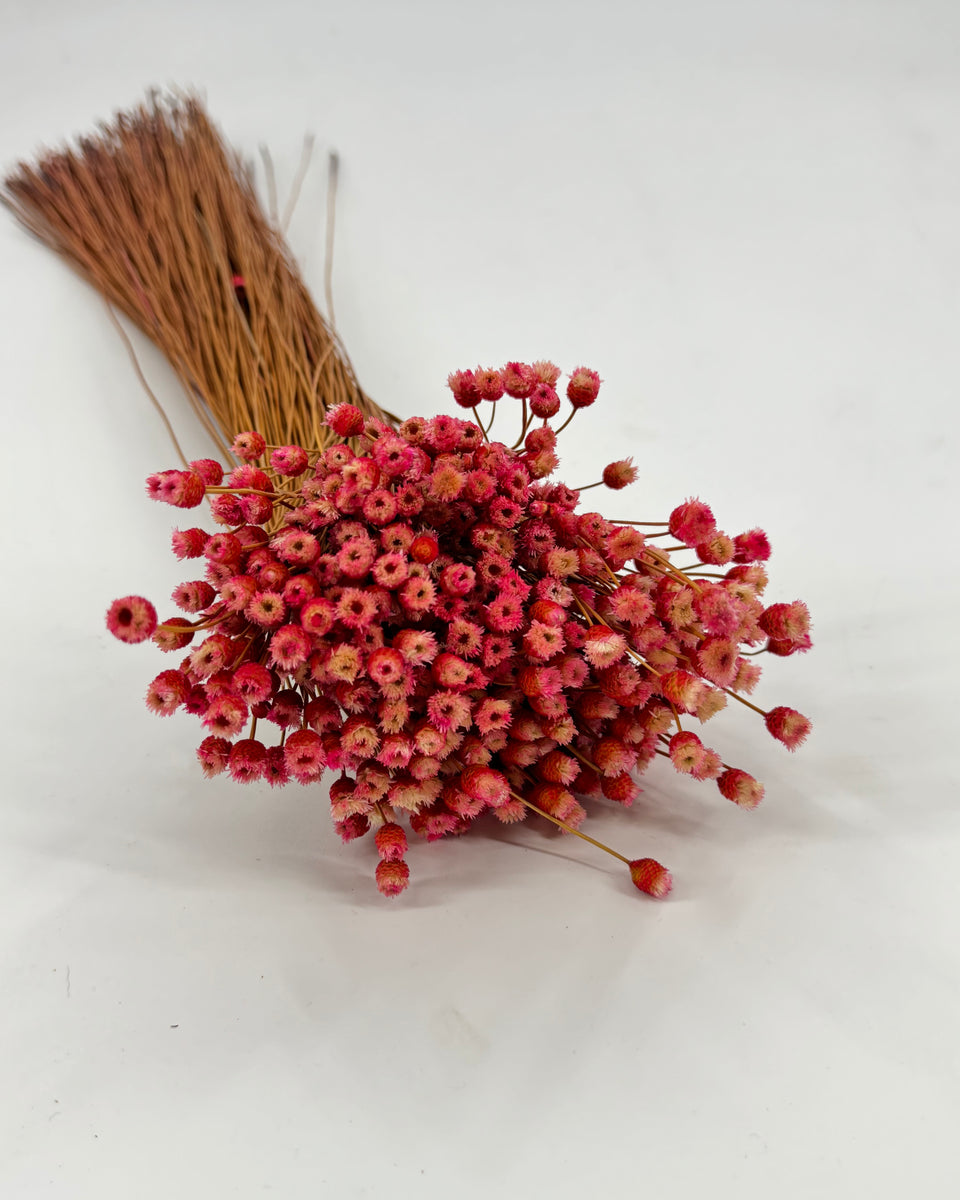 Happy Flower Preserved Bouquet