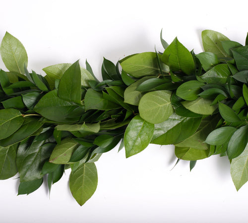 Salal and Ruscus Garland