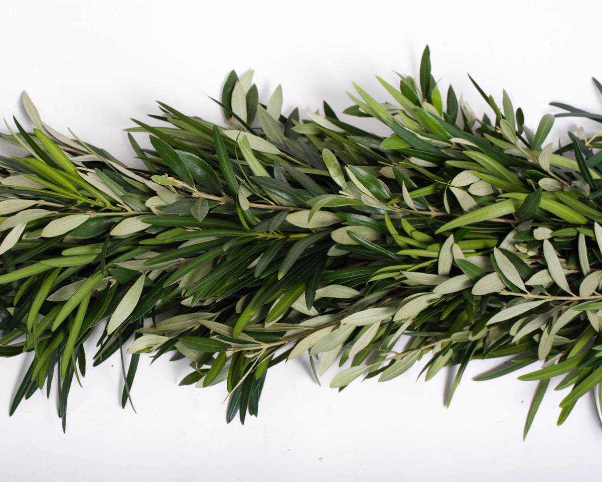 Olive Leaf and Podocarpus Garland