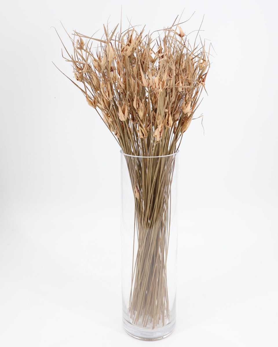 Tulip Star Grass Preserved Bouquet
