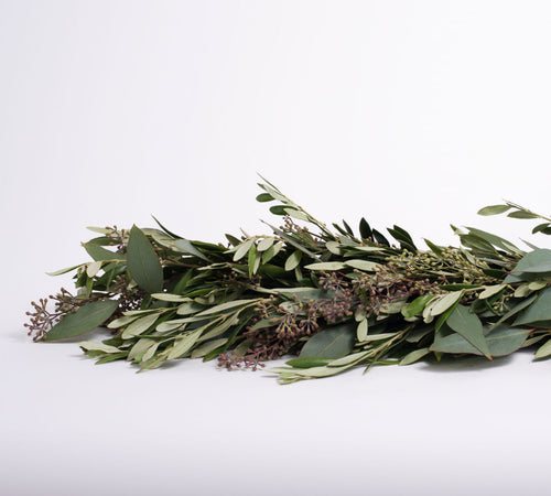 Olive Leaf and Seeded Eucalyptus Garland