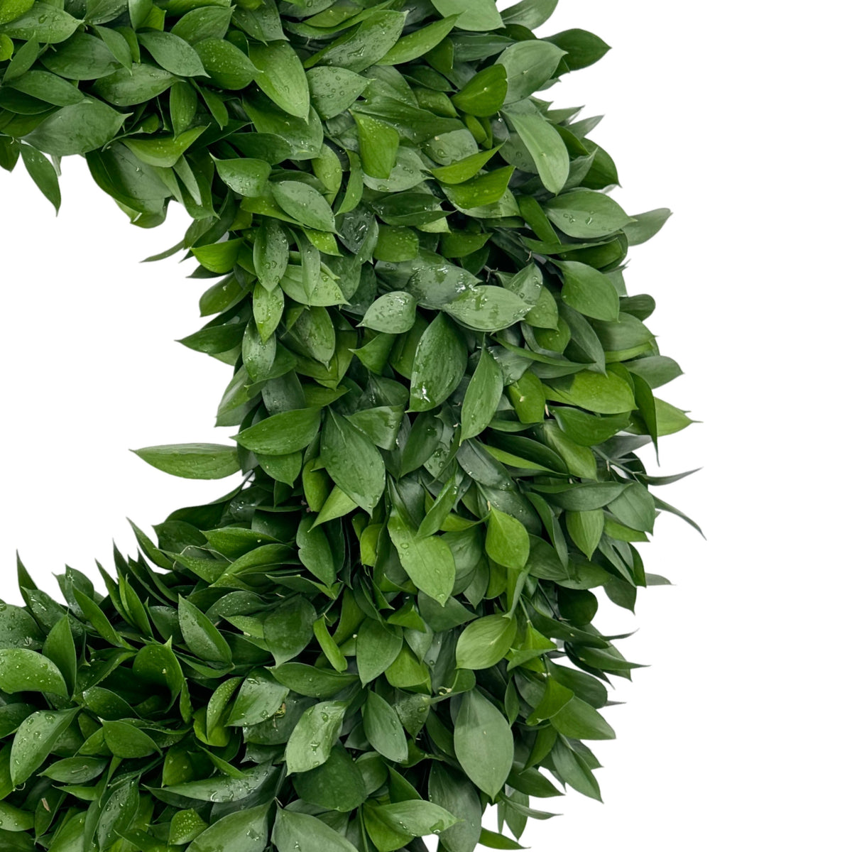 Ruscus Wreath