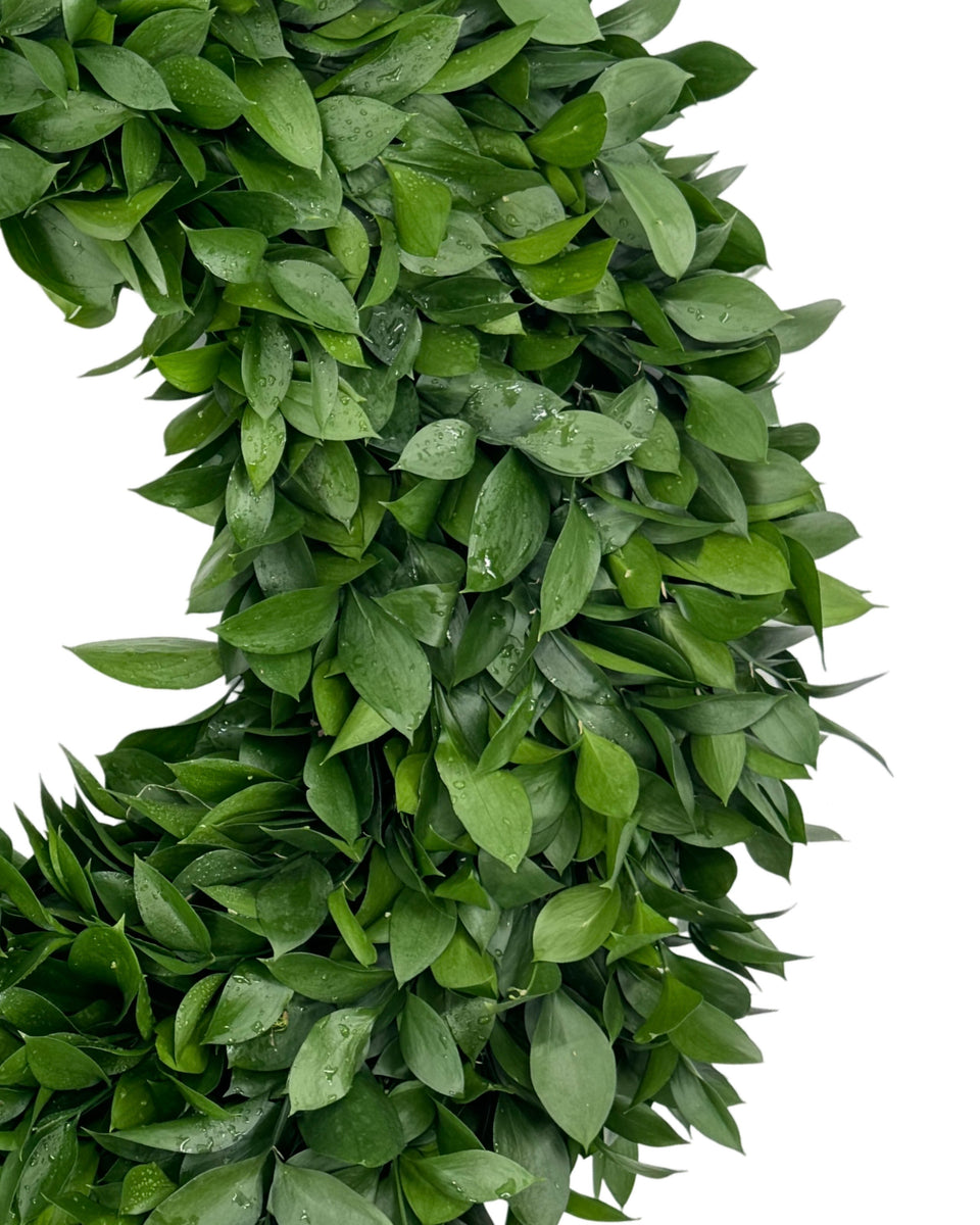 Ruscus Wreath