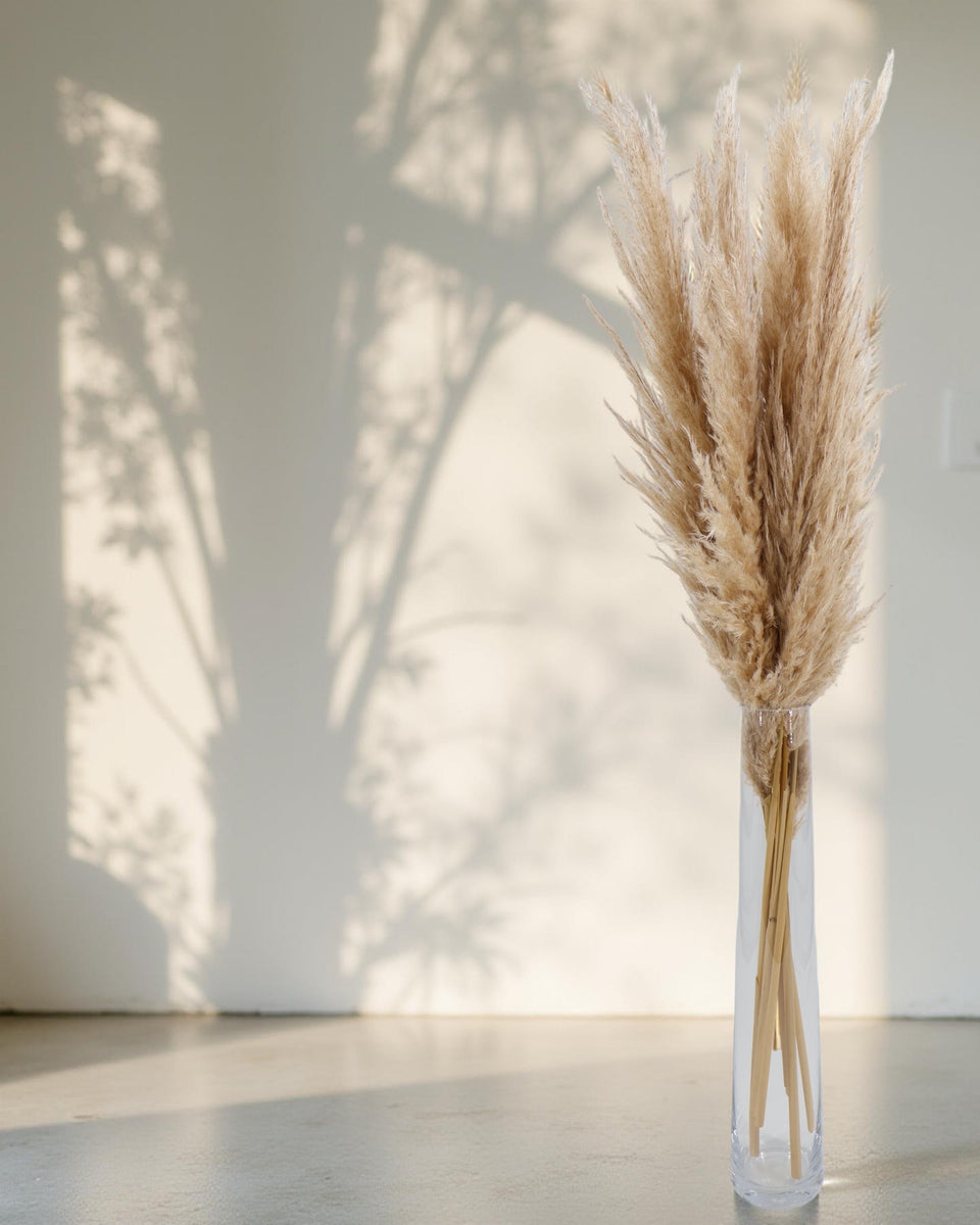 Pampas Grass 6 Stem Preserved Bouquet