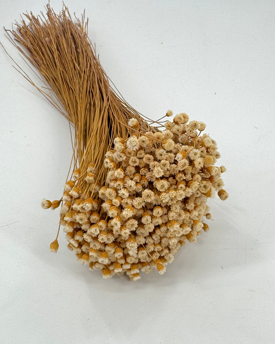 Happy Flower Preserved Bouquet