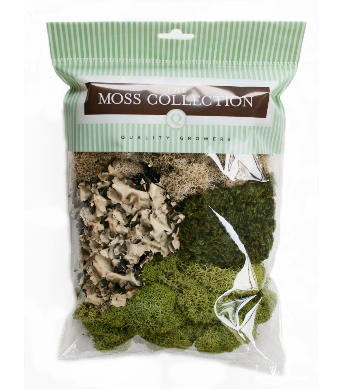 Bulk Fresh Shredded Forest Moss (Use for Floral / Crafts) – Moss Acres