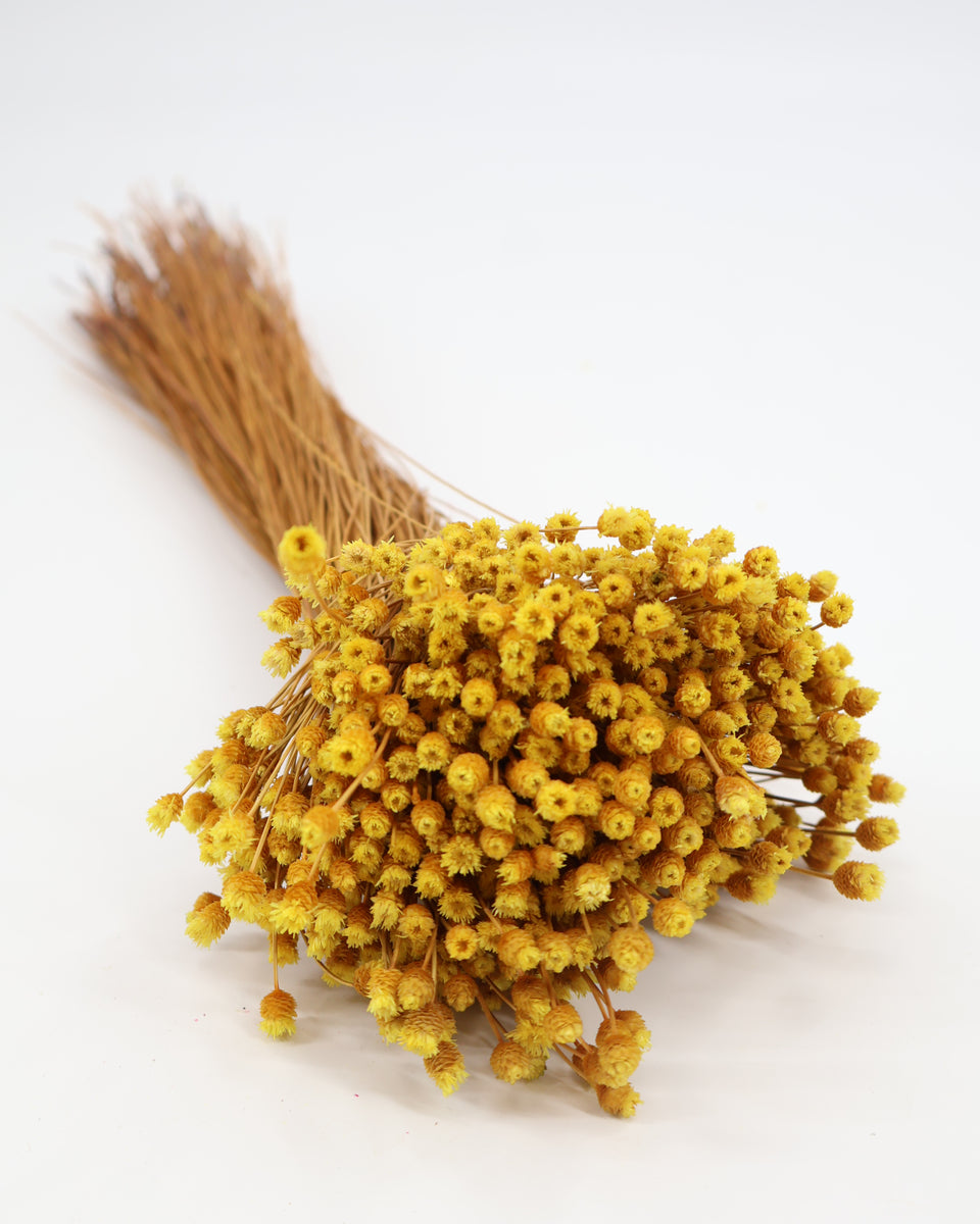 Happy Flower Preserved Bouquet