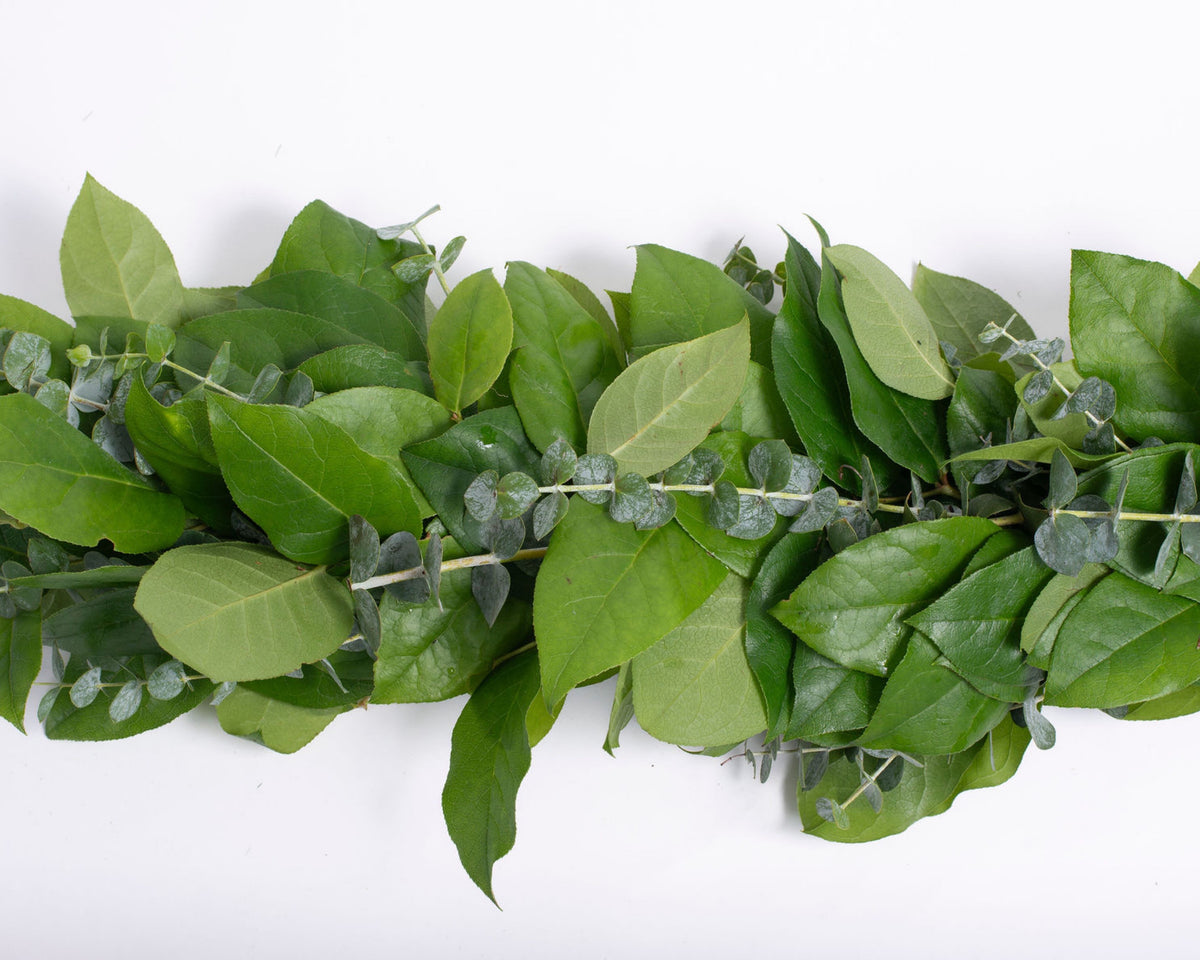 Salal and Baby Eucalyptus Garland