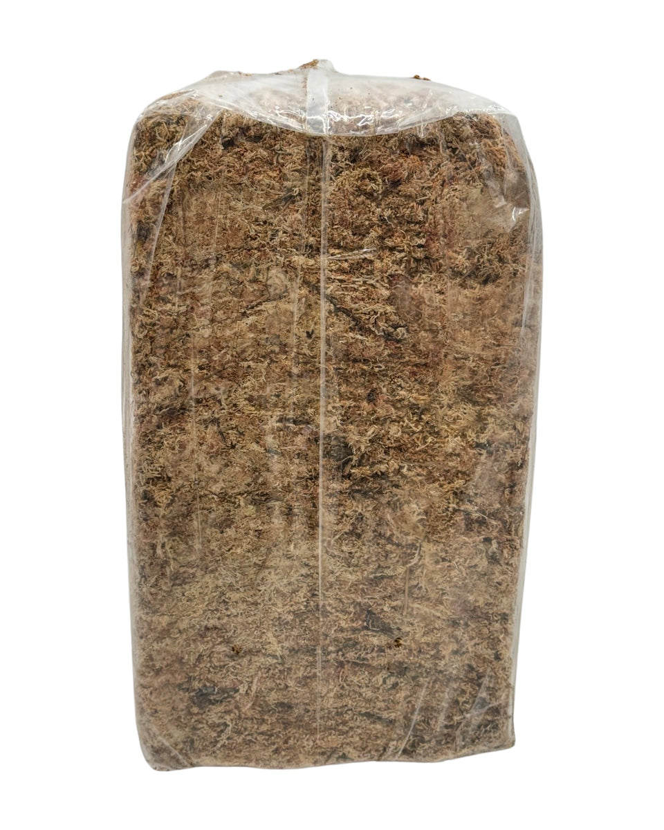 Chilean Sphagnum Moss