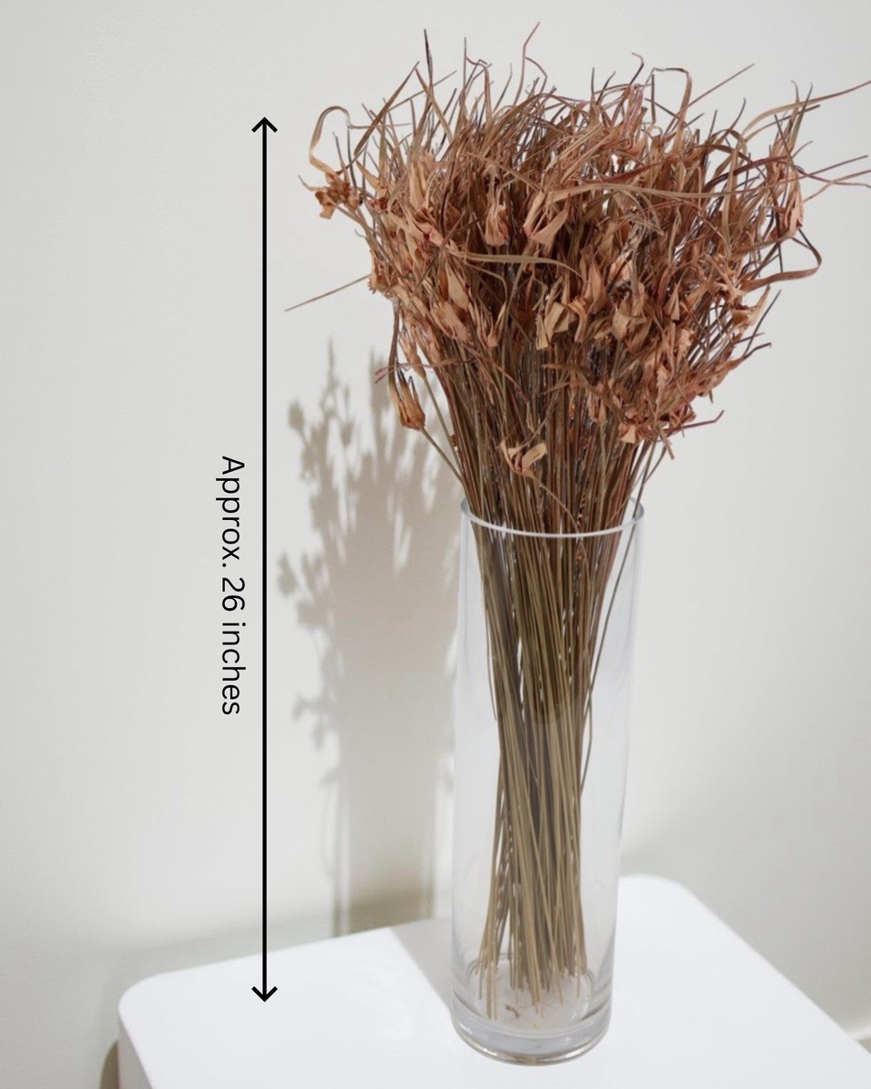 Tulip Star Grass Preserved Bouquet