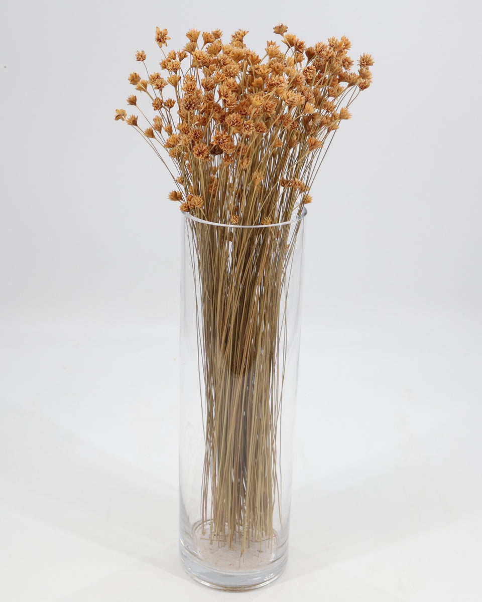 Hill Flower Preserved Bouquet