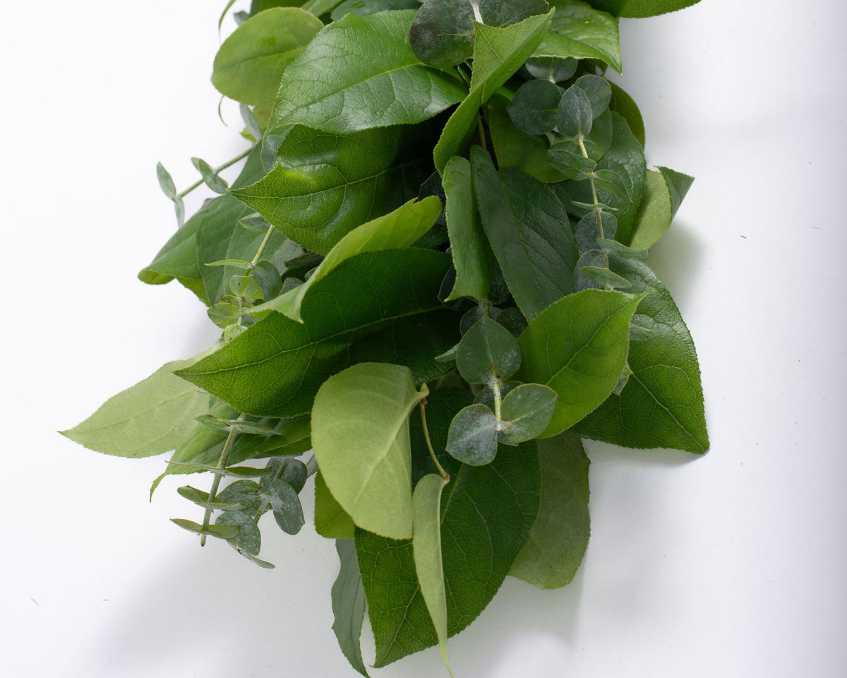 Salal and Baby Eucalyptus Garland