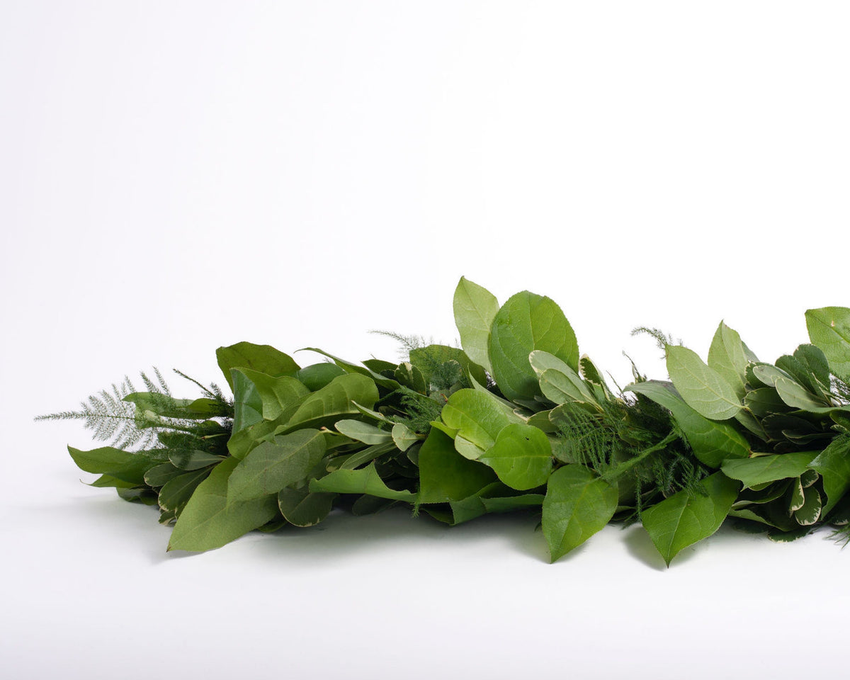 Salal, Variegated Pittosporum, and Plumosus Garland