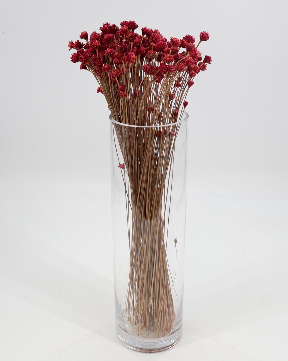 Hill Flower Preserved Bouquet