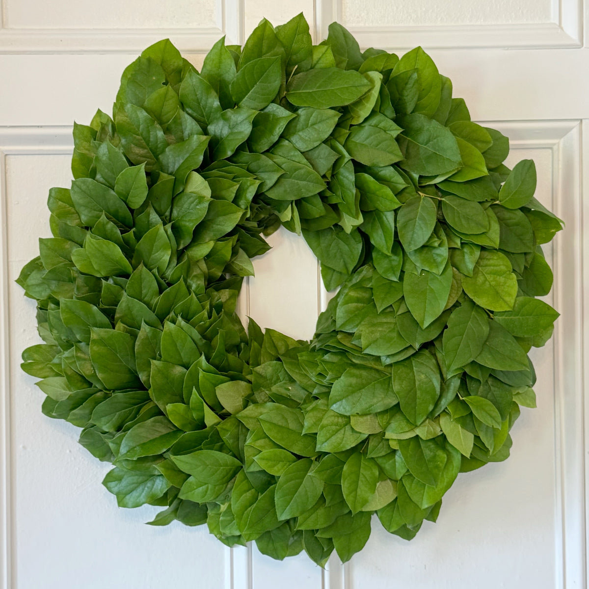 Salal Wreath