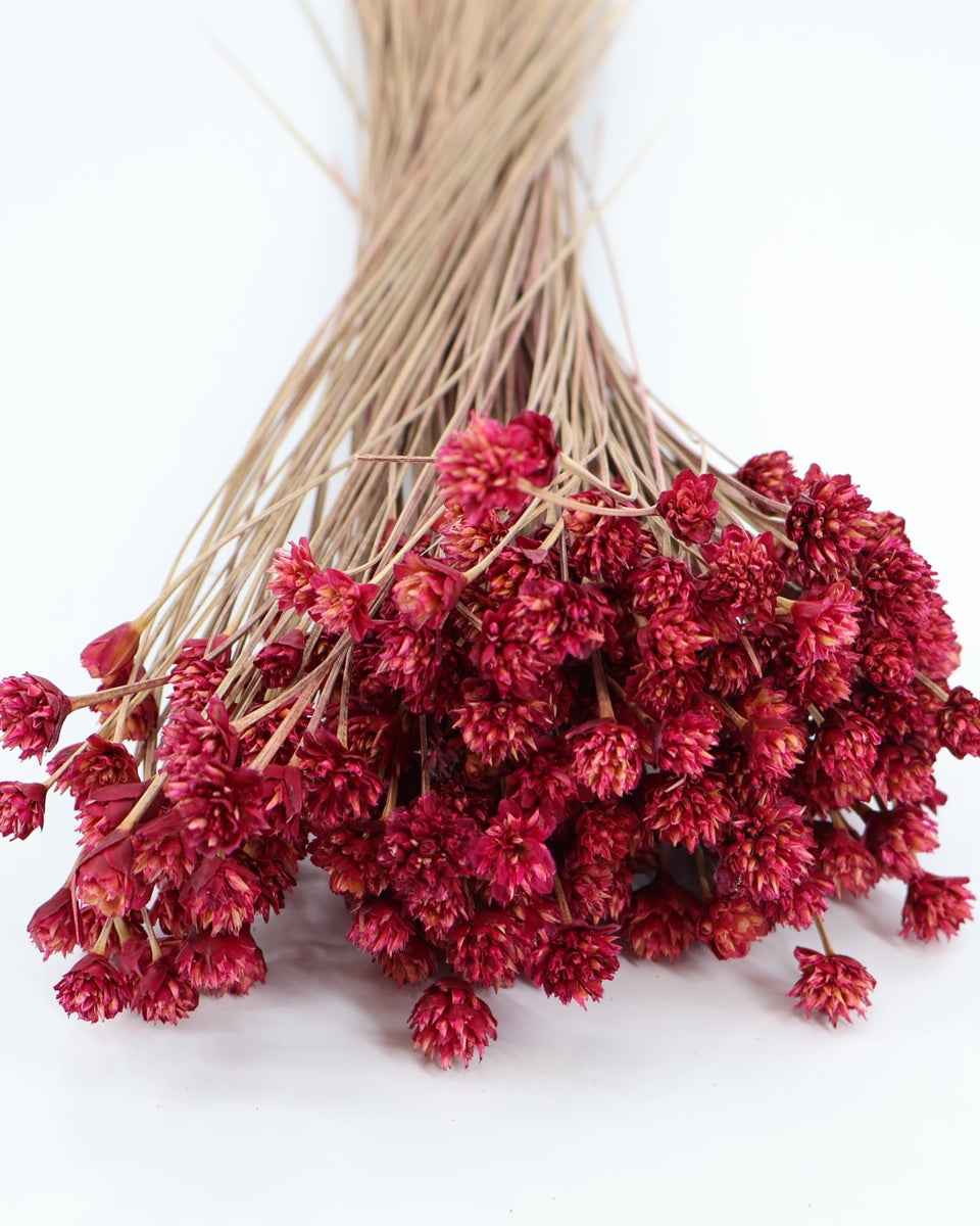 Hill Flower Preserved Bouquet