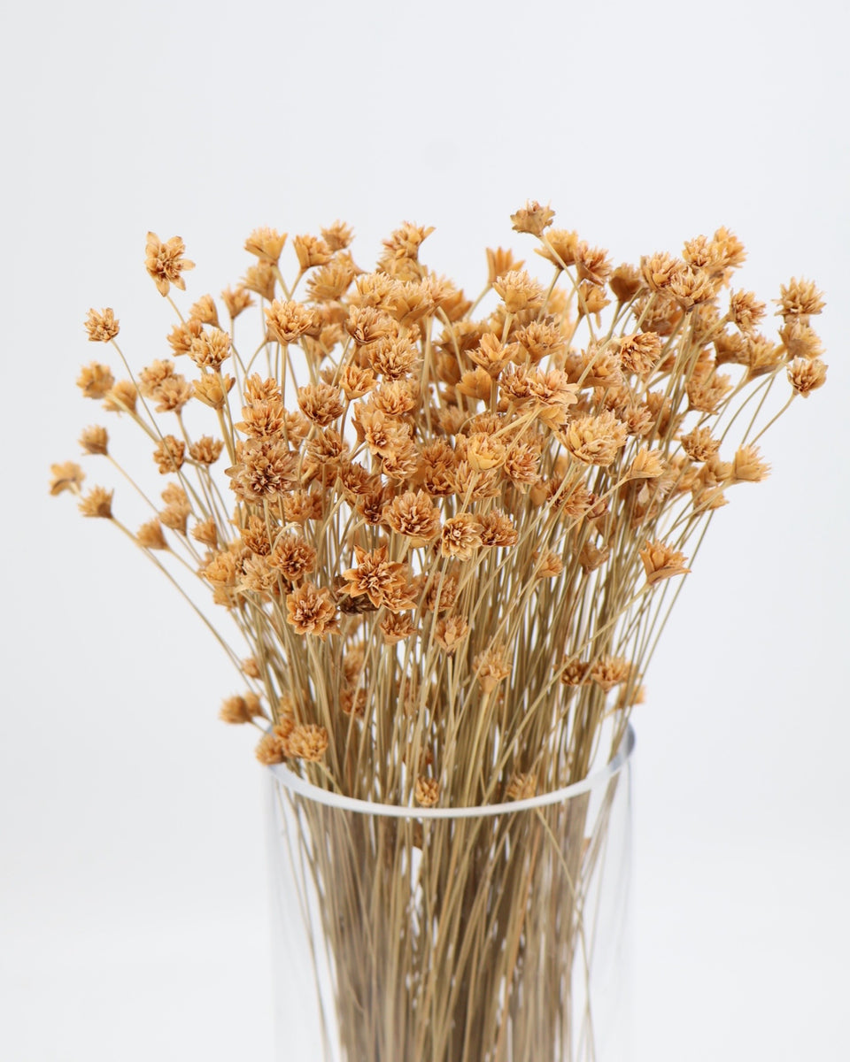 Hill Flower Preserved Bouquet