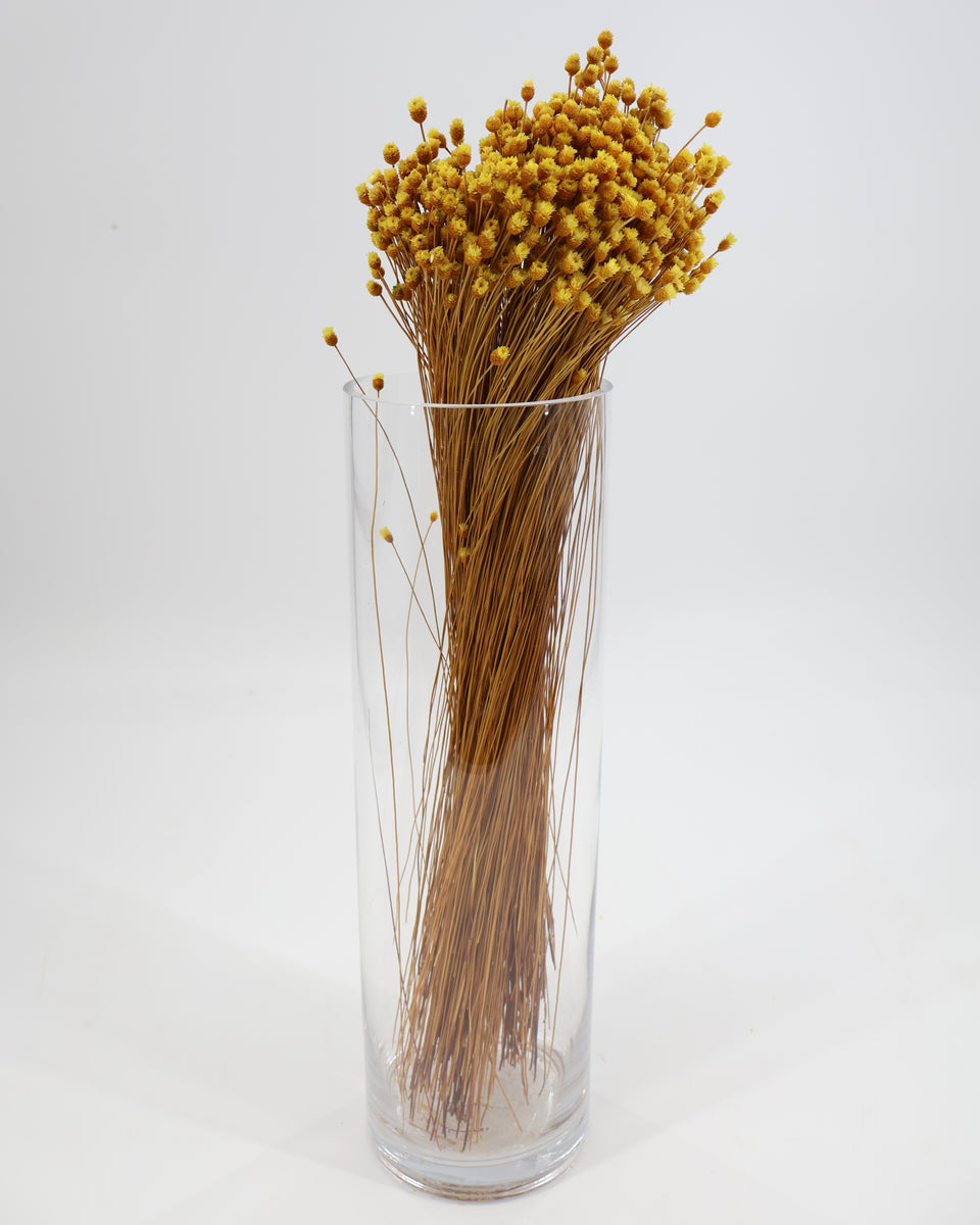 Happy Flower Preserved Bouquet