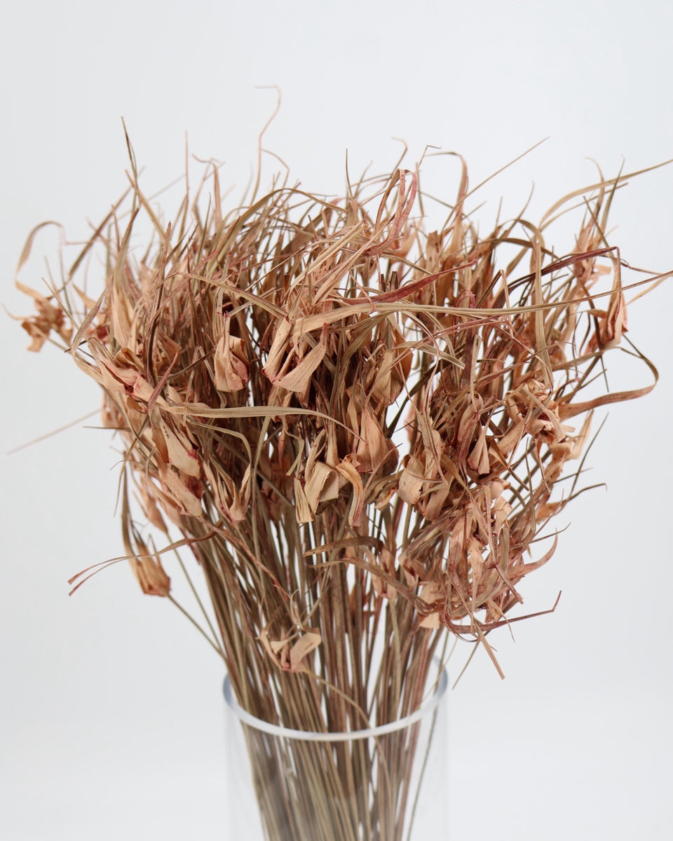 Tulip Star Grass Preserved Bouquet