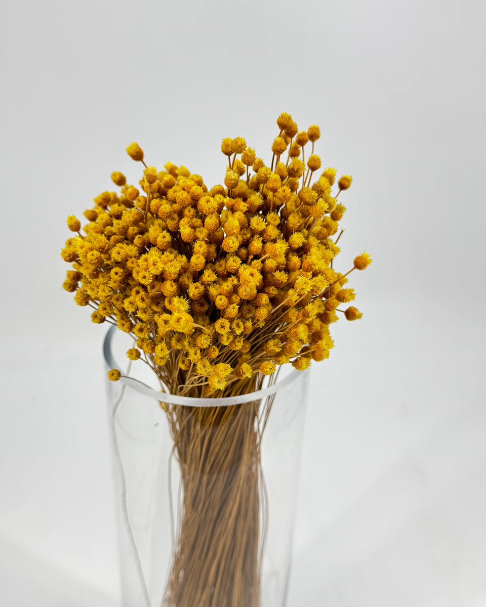 Happy Flower Preserved Bouquet