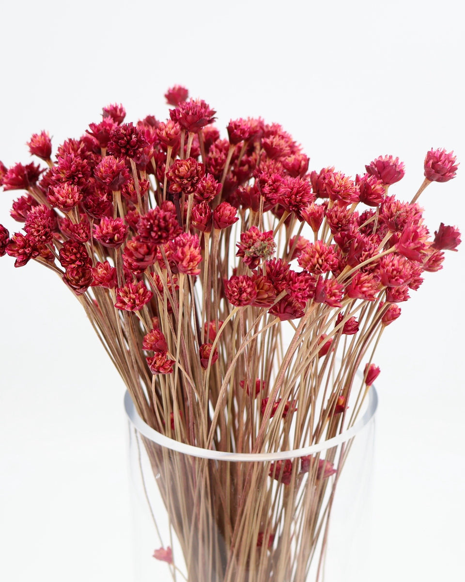 Hill Flower Preserved Bouquet