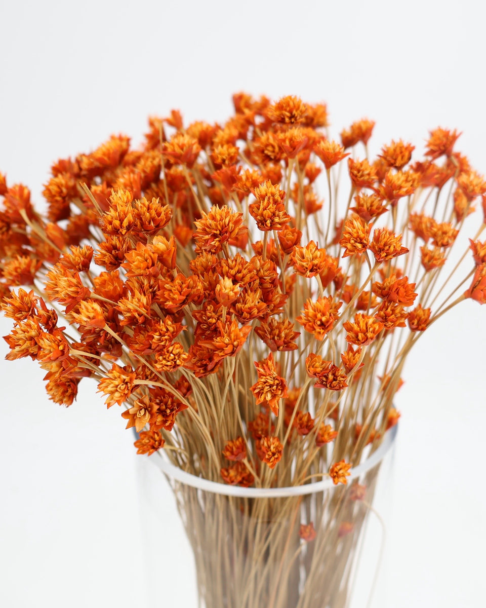 Hill Flower Preserved Bouquet