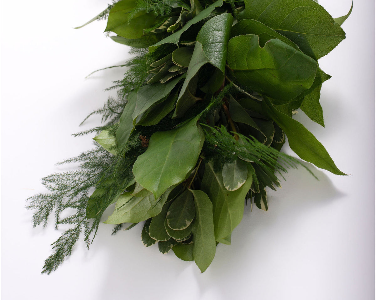 Salal, Variegated Pittosporum, and Plumosus Garland