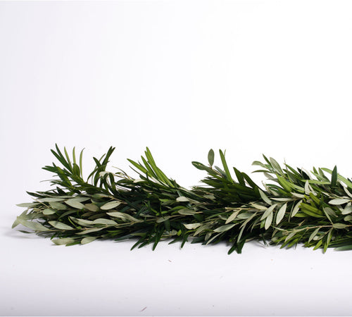 Olive Leaf and Podocarpus Garland